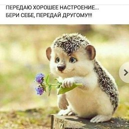 ����, ������, 49 ���