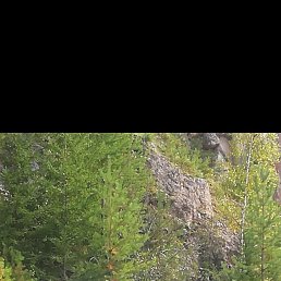 ������, 50 ���, �����������