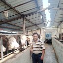 ���� Murad, ����, 43 ���� - ��������� 13 ���� 2024 � ������ ���� ����������