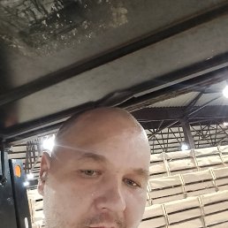 , 36 , 