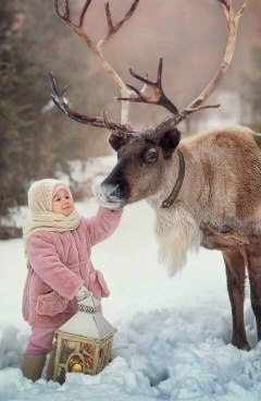 ���� ������ ����-�� �������, ��� ������. ���� � ����� ����-�� ��������, ��� ������. �����, ����� ...