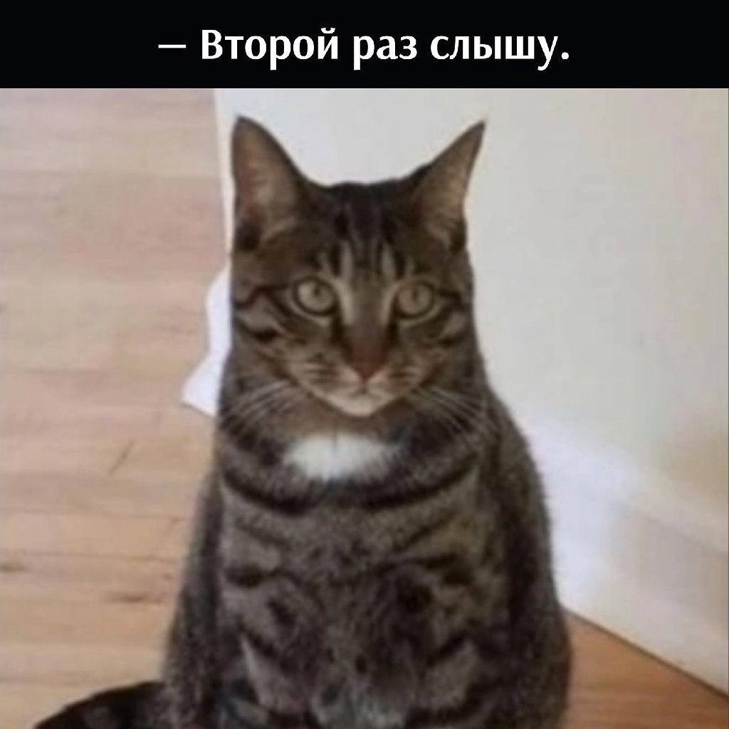 ��� ���� � ����� �� �� - 24 ������� 2026 � 22:00 - 4