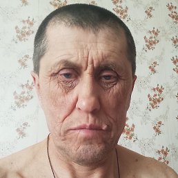 ����, ������, 41 ���