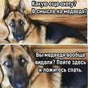 ���� ������, �����-���������, 53 ���� - ��������� 29 ��� 2025 � ������ ������ ��������
