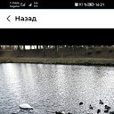 ���� Alekseii, �����-���������, 48 ��� - ��������� 18 ������� 2025 � ������ ���� ����������