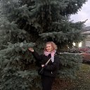 ���� �����, ������, 44 ���� - ��������� 2 ������ 2025 � ������ ���� ����������