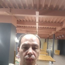 �����, 44 ����, ���������