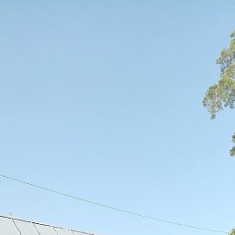 ������, ���������� �����, 59 ���