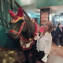 ����, ���������, 50 ���