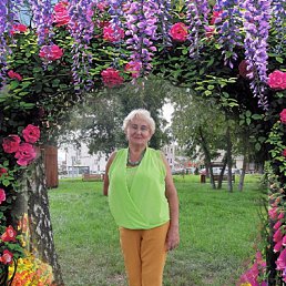 ���� �����, �����, 66 ��� - ��������� 20 ��� 2025