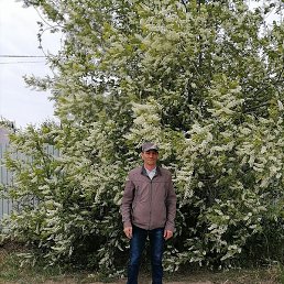 ������, ����, 52 ����