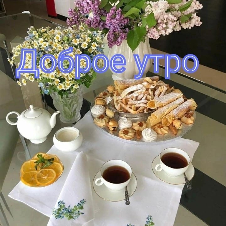   ,    . - 2  2024  06:39