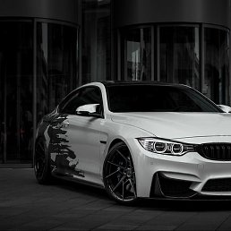 Aleksey_maslov, �����������, 22 ����