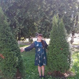 �������, 44 ����, �������