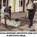 ���� ��������, ������, 84 ���� - ��������� 1 ��� 2026 � ������ ������ ��������