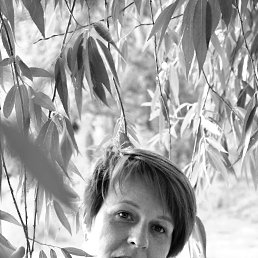 ���� �����, ���������, 46 ��� - ��������� 7 ���� 2025