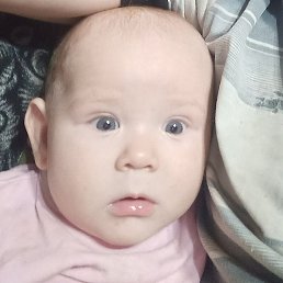 ���, ������, 44 ����