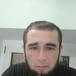 ���� ������, ������, 33 ���� - ��������� 22 ������� 2023