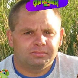 ����, �������, 43 ����