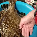 ���� ������, ����-���������, 61 ��� - ��������� 13 ��� 2026 � ������ ���� ����������