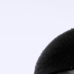 ����, �����, 40 ���