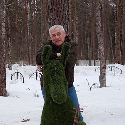 ��������, �����-���������, 66 ���