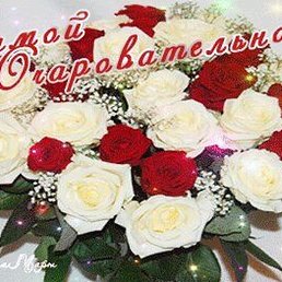 ������, �������, 52 ����