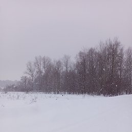 ��������, ������, 67 ���