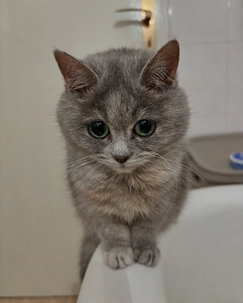 Ÿ  .   2 .           ... - 3