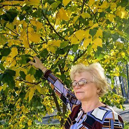 �������, ������, 61 ���