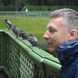 ������, ������, 51 ���