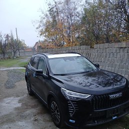���� �����, ������, 42 ���� - ��������� 10 ������� 2024