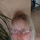  ,  , 44  -  12  2025    