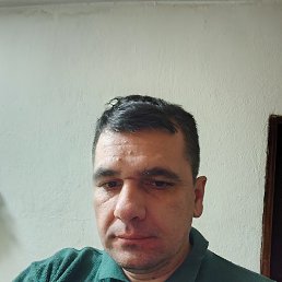 ���� Nikola, �������, 40 ��� - ��������� 8 ������� 2025