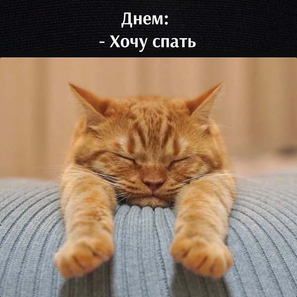 ��� ���� � ����� �� �� - 25 �������� 2026 � 11:35 - 2