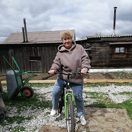 , 53,  