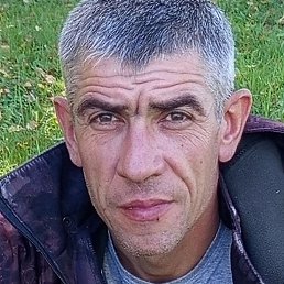 ������, �������, 41 ���