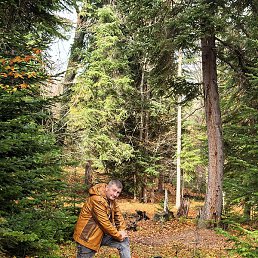 �������, ������-��-����, 38 ���