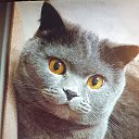 ���� �����, ������, 63 ���� - ��������� 4 ������� 2025 � ������ ������ ��������