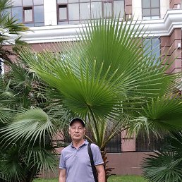 �����, �������, 64 ����