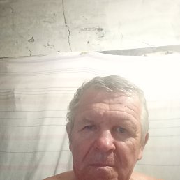 , 65 , 