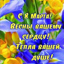 ���� ����, �������� - ��������� 8 ����� 2026 � ������ ������ ��������