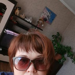 ���� ���������, �������, 44 ���� - ��������� 19 ������ 2023