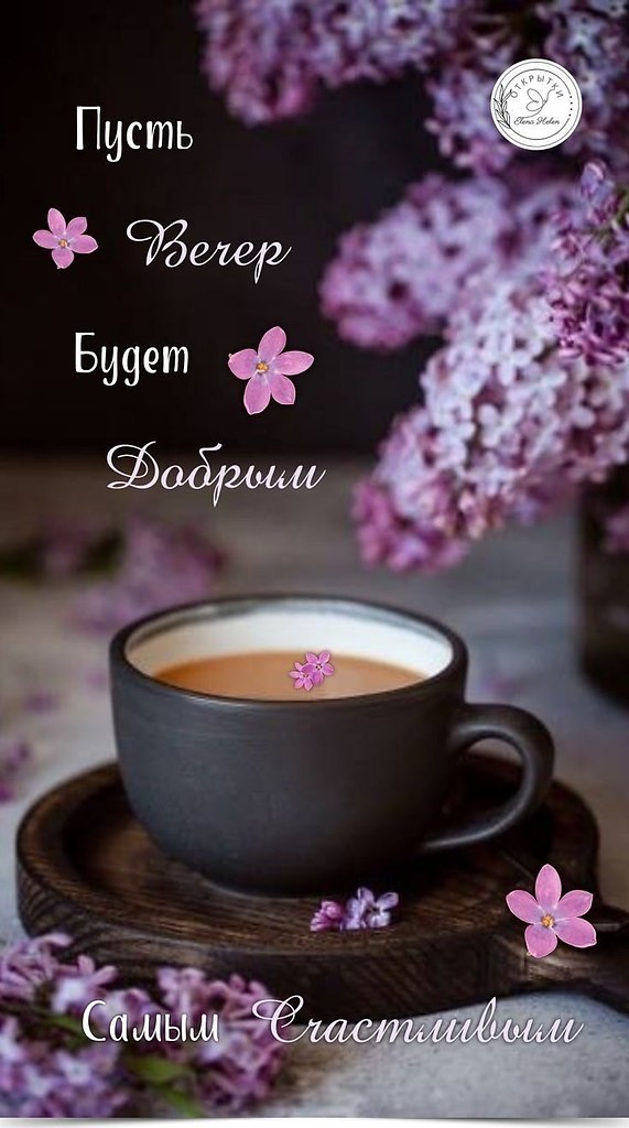 �~�~�~�~�~�~�~�~�~�~�~�~�