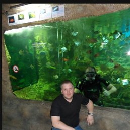 , 42 , 