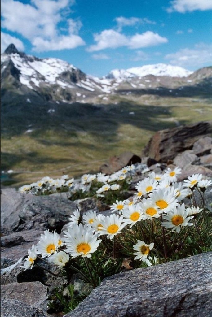 Подарки своими руками - 3 марта 2024 в 21:27 - 5