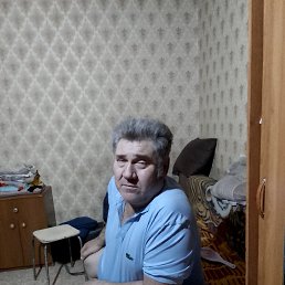 ��������, 56 ���, ���������