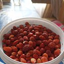 ���� �������, ������� �����, 50 ��� - ��������� 1 ���� 2024 � ������ ���� ����������