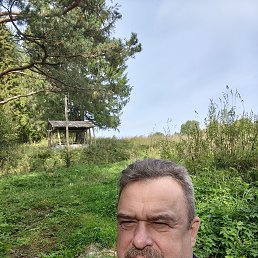 , 65, 