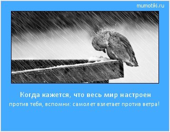 ОБО ВСЕМ - 10 октября 2025 в 14:37